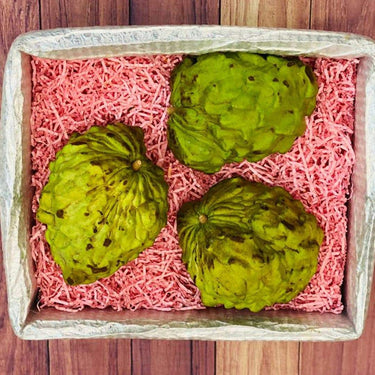 Atemoya for sale online in box